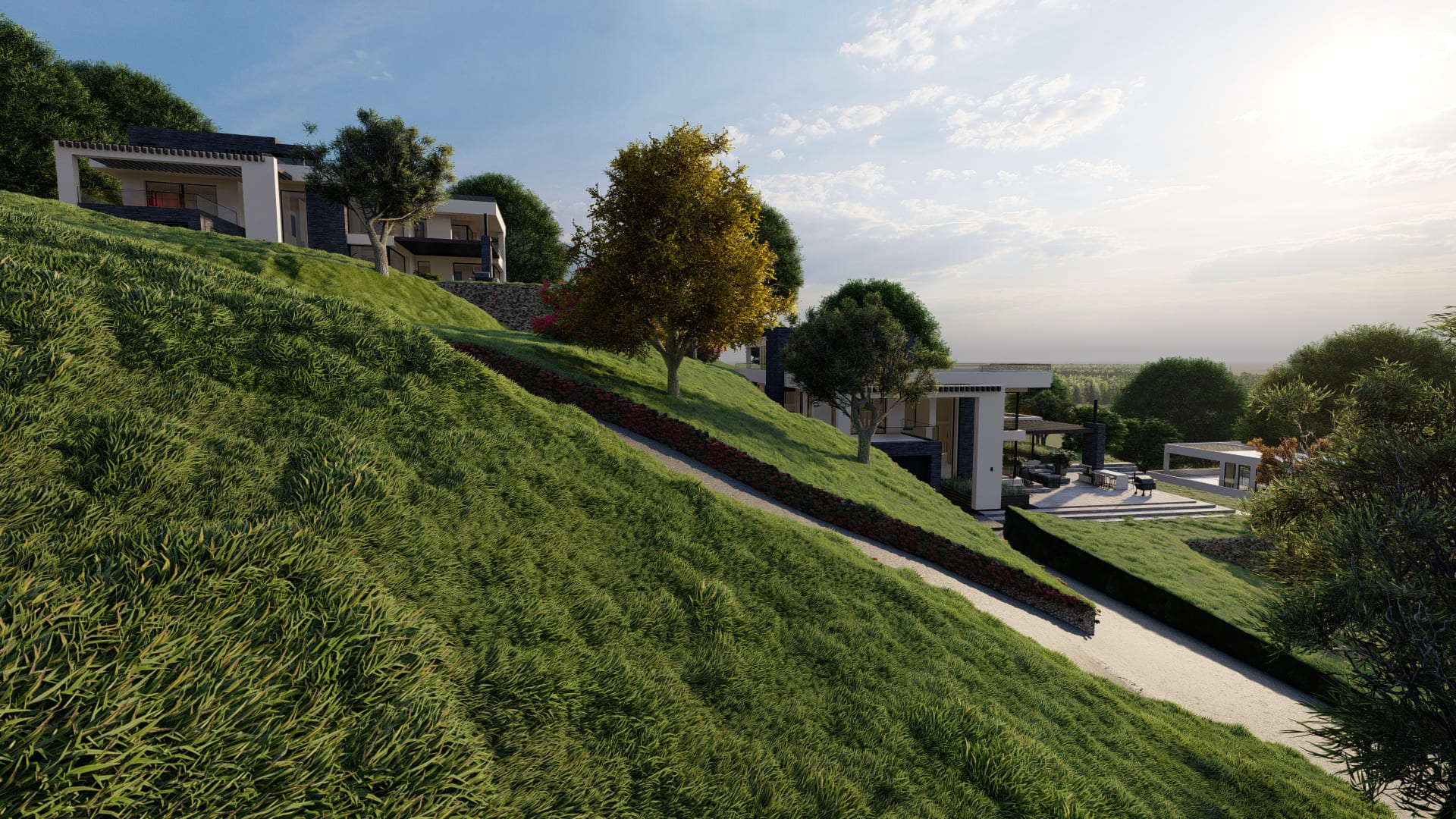 Creative Design Project